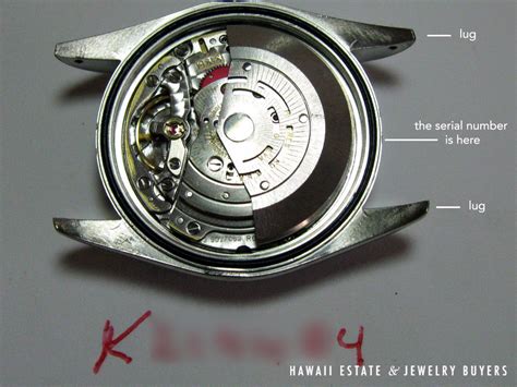 rolex movement numbers|2002 Rolex watch serial numbers.